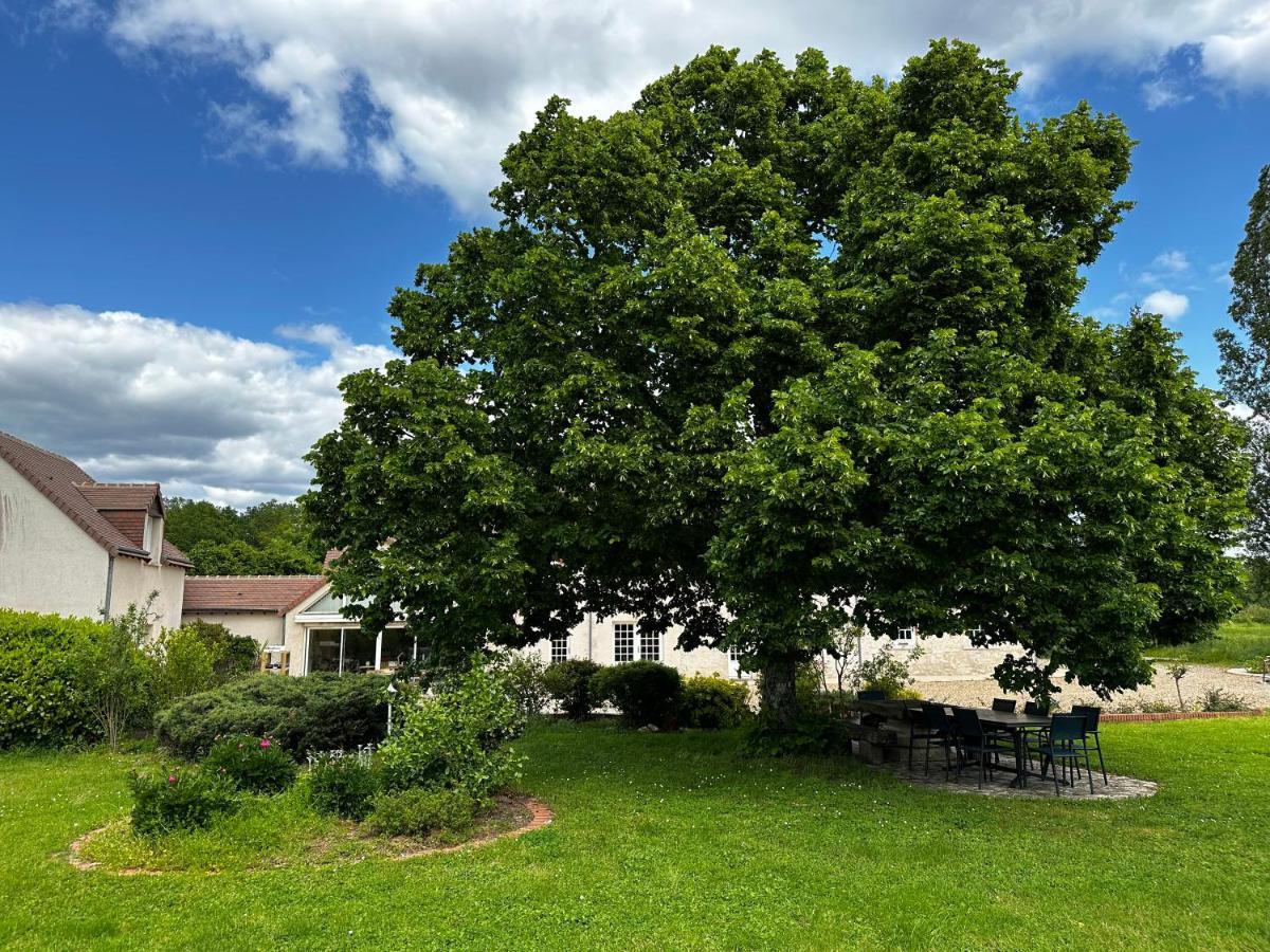 Domaine De Couilleuse 호텔 Saint-Laurent-Nouan 외부 사진