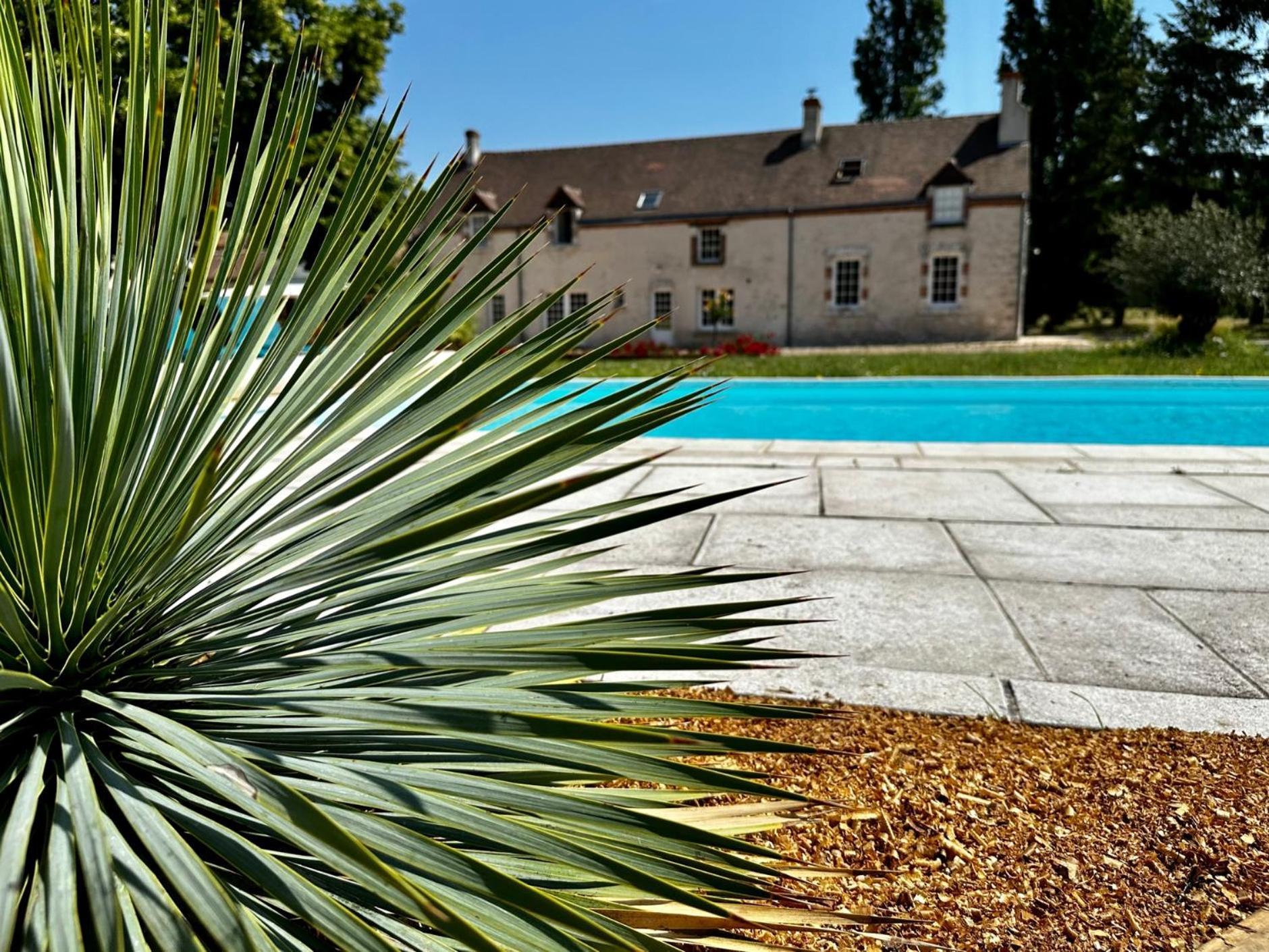 Domaine De Couilleuse 호텔 Saint-Laurent-Nouan 외부 사진