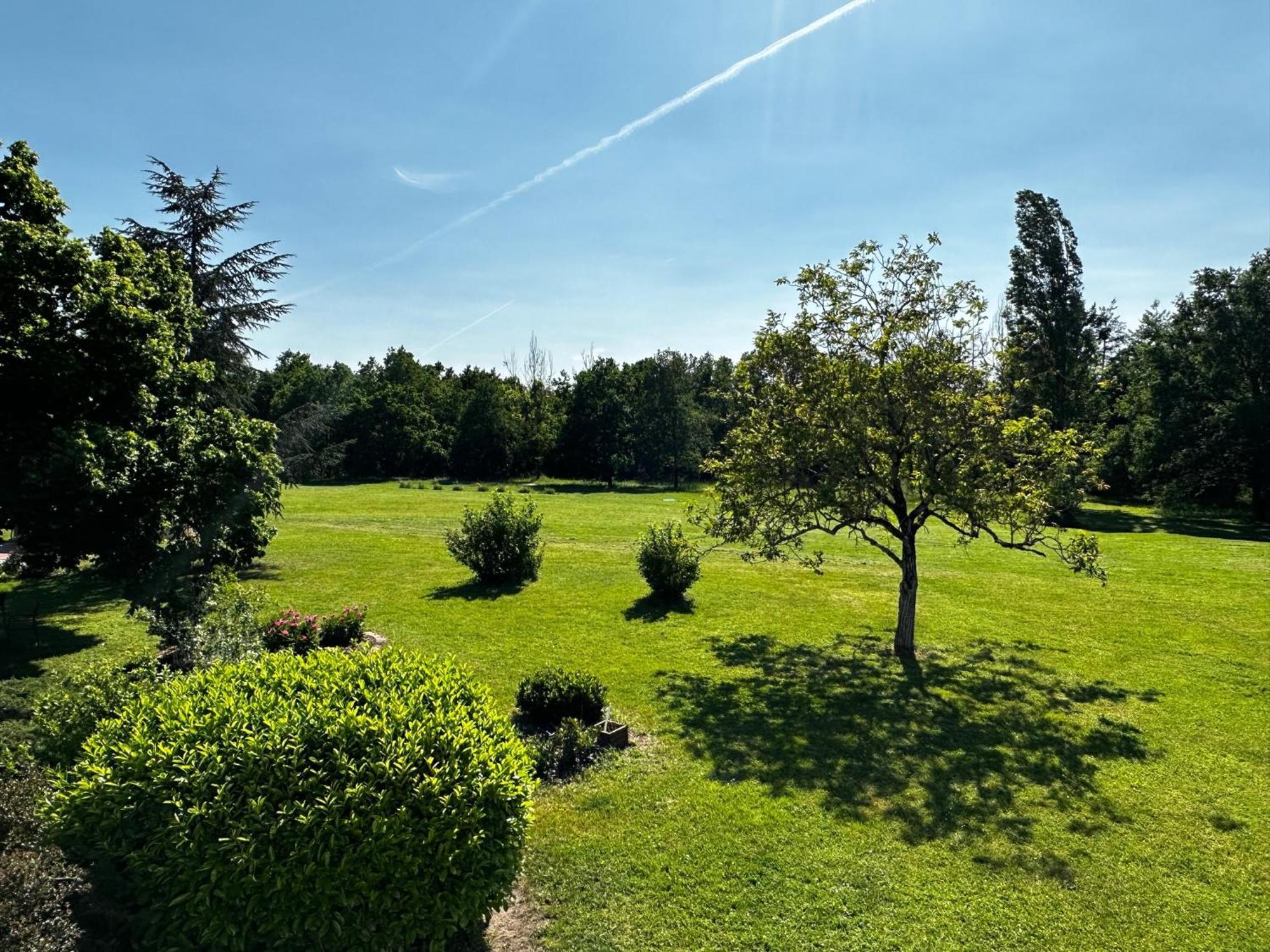 Domaine De Couilleuse 호텔 Saint-Laurent-Nouan 외부 사진